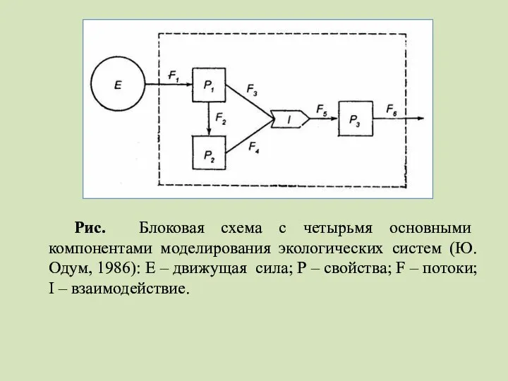 Рис. Блоковая схема с четырьмя основными компонентами моделирования экологических систем (Ю.