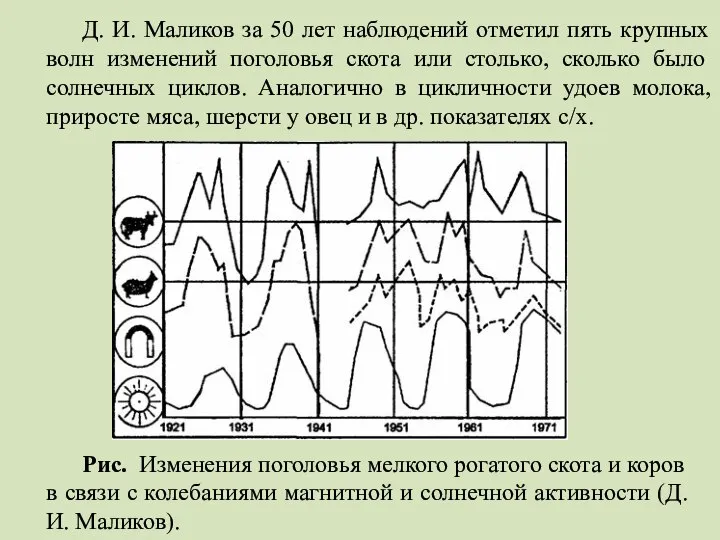 Д. И. Маликов за 50 лет наблюдений отметил пять крупных волн