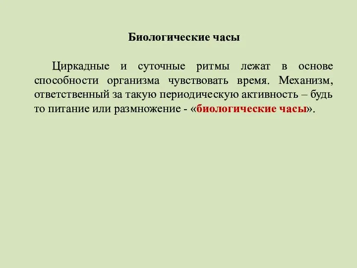 Биологические часы Циркадные и суточные ритмы лежат в основе способности организма