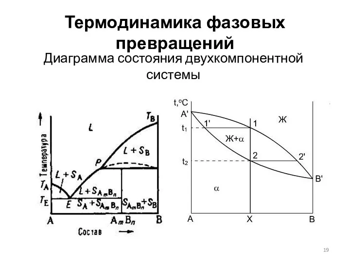 Термодинамика фазовых превращений Диаграмма состояния двухкомпонентной системы