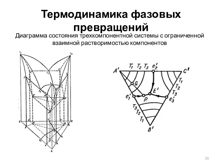 Термодинамика фазовых превращений Диаграмма состояния трехкомпонентной системы с ограниченной взаимной растворимостью компонентов