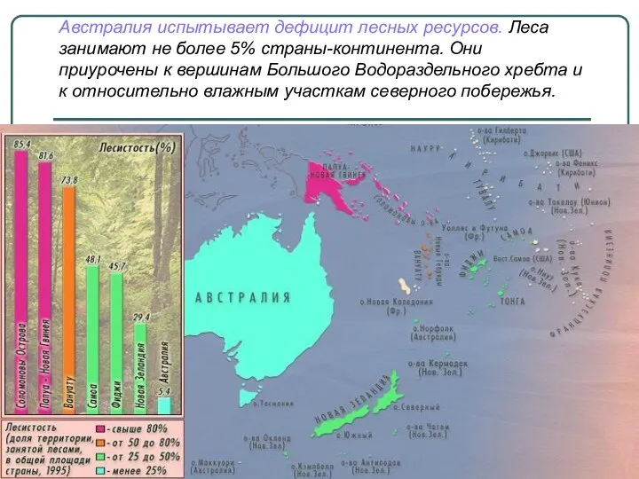 Австралия испытывает дефицит лесных ресурсов. Леса занимают не более 5% страны-континента.