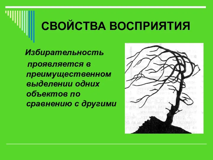 СВОЙСТВА ВОСПРИЯТИЯ Избирательность проявляется в преимущественном выделении одних объектов по сравнению с другими