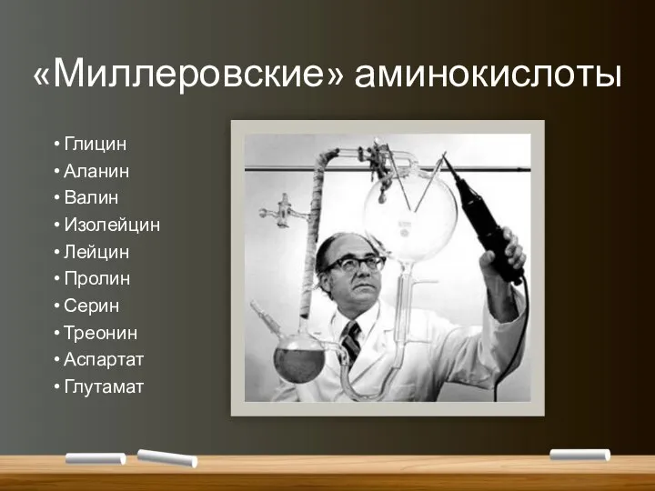 «Миллеровские» аминокислоты Глицин Аланин Валин Изолейцин Лейцин Пролин Серин Треонин Аспартат Глутамат