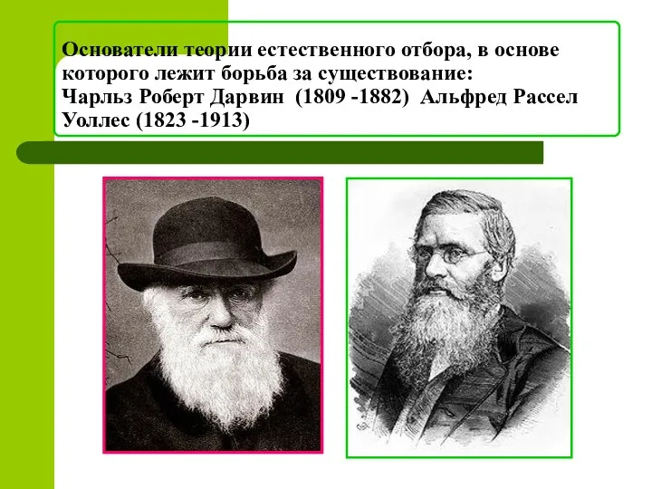 Основатели теории естественного отбора, в основе которого лежит борьба за существование: