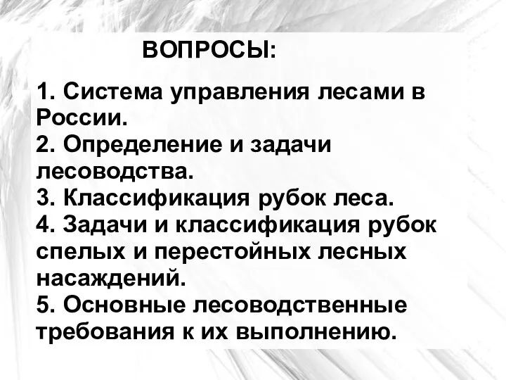 ВОПРОСЫ: 1. Система управления лесами в России. 2. Определение и задачи