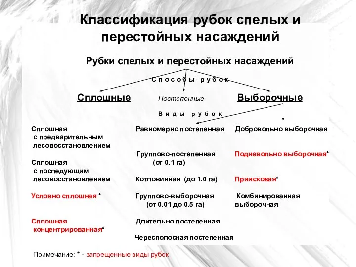 Классификация рубок спелых и перестойных насаждений Рубки спелых и перестойных насаждений