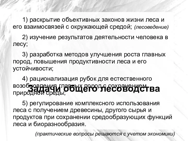 Задачи общего лесоводства 1) раскрытие объективных законов жизни леса и его