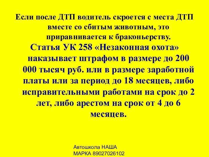 Автошкола НАША МАРКА 89027026102 Если после ДТП водитель скроется с места