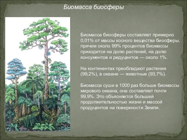 Биомасса биосферы Биомасса биосферы составляет примерно 0,01% от массы косного вещества