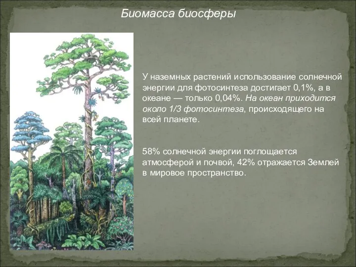 Биомасса биосферы У наземных растений использование солнечной энергии для фотосинтеза достигает