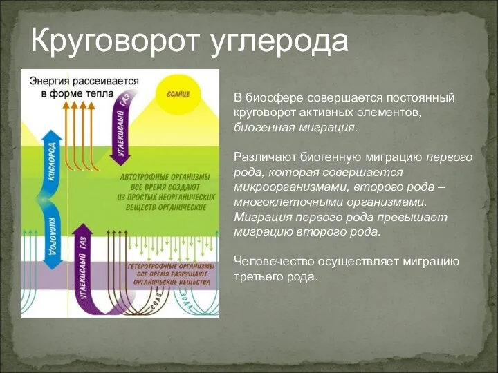 В биосфере совершается постоянный круговорот активных элементов, биогенная миграция. Различают биогенную