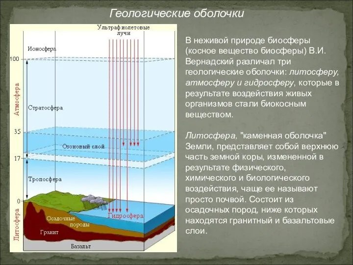 Геологические оболочки В неживой природе биосферы (косное вещество биосферы) В.И.Вернадский различал