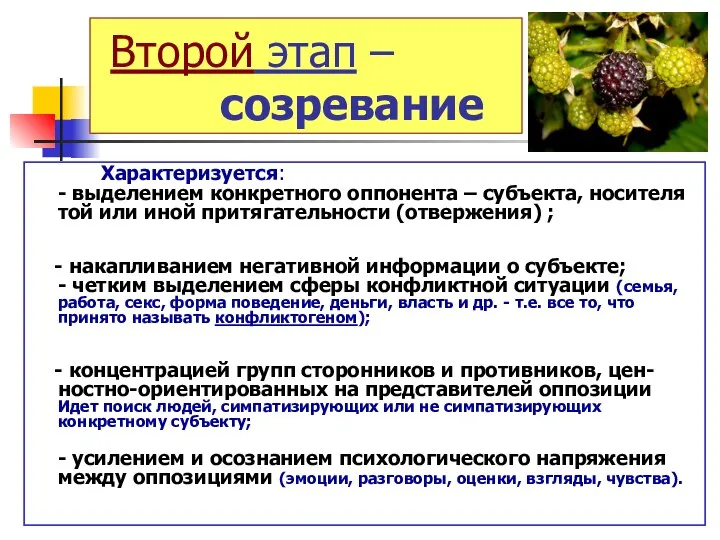 Второй этап – созревание Характеризуется: - выделением конкретного оппонента – субъекта,