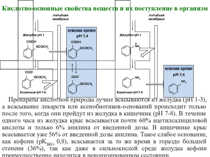 Кислотно-основные свойства веществ и их поступление в организм Препараты кислотной природы