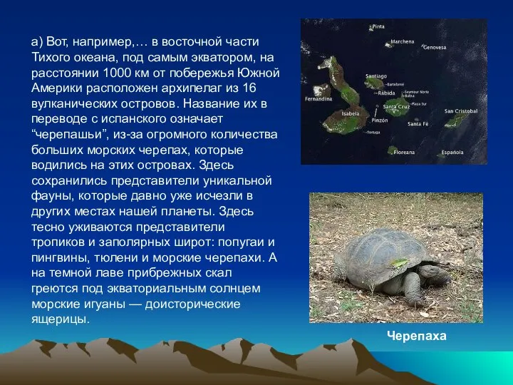 а) Вот, например,… в восточной части Тихого океана, под самым экватором,