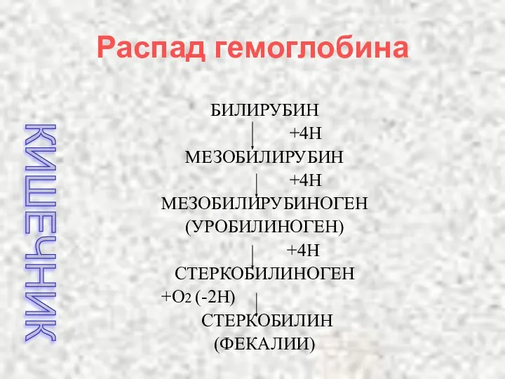 БИЛИРУБИН +4Н МЕЗОБИЛИРУБИН +4Н МЕЗОБИЛИРУБИНОГЕН (УРОБИЛИНОГЕН) +4Н СТЕРКОБИЛИНОГЕН +О2 (-2Н) СТЕРКОБИЛИН (ФЕКАЛИИ) КИШЕЧНИК Распад гемоглобина