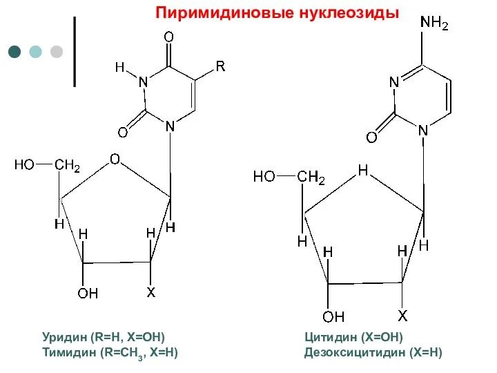 Уридин (R=H, X=OH) Тимидин (R=CH3, X=H) Цитидин (Х=ОН) Дезоксицитидин (Х=Н) Пиримидиновые нуклеозиды