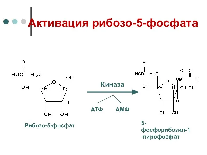 Активация рибозо-5-фосфата АТФ АМФ Киназа Рибозо-5-фосфат 5-фосфорибозил-1-пирофосфат