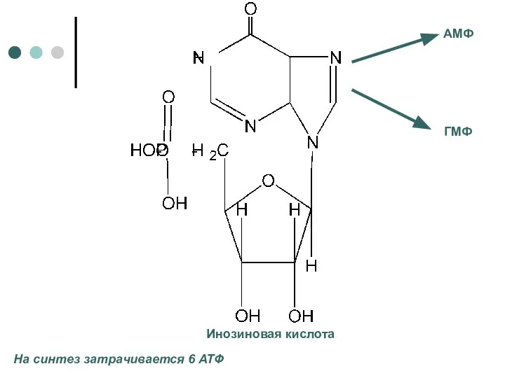 Инозиновая кислота На синтез затрачивается 6 АТФ АМФ ГМФ