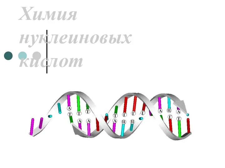 Химия нуклеиновых кислот