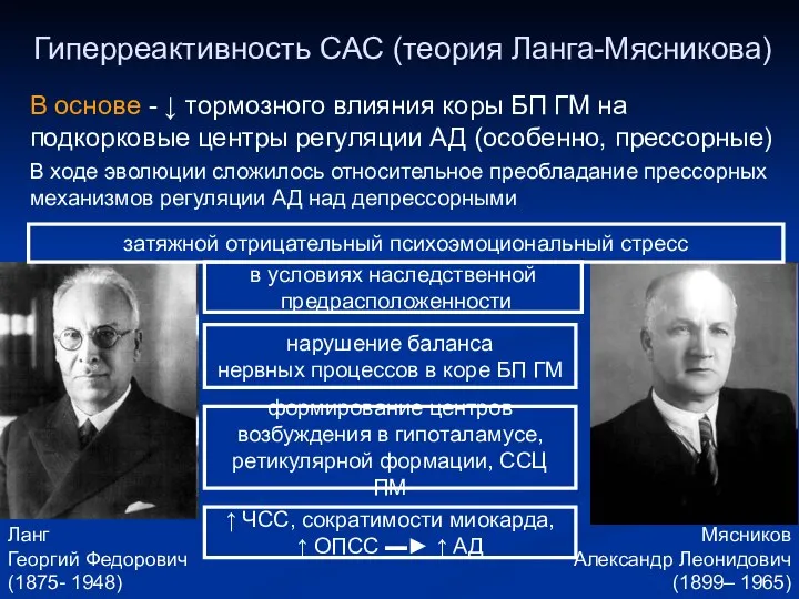 Гиперреактивность САС (теория Ланга-Мясникова) В основе - ↓ тормозного влияния коры