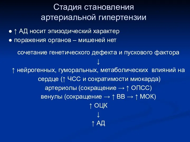 Стадия становления артериальной гипертензии ● ↑ АД носит эпизодический характер ●