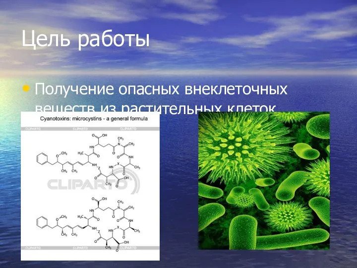 Цель работы Получение опасных внеклеточных веществ из растительных клеток