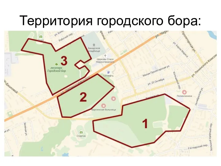 Территория городского бора: