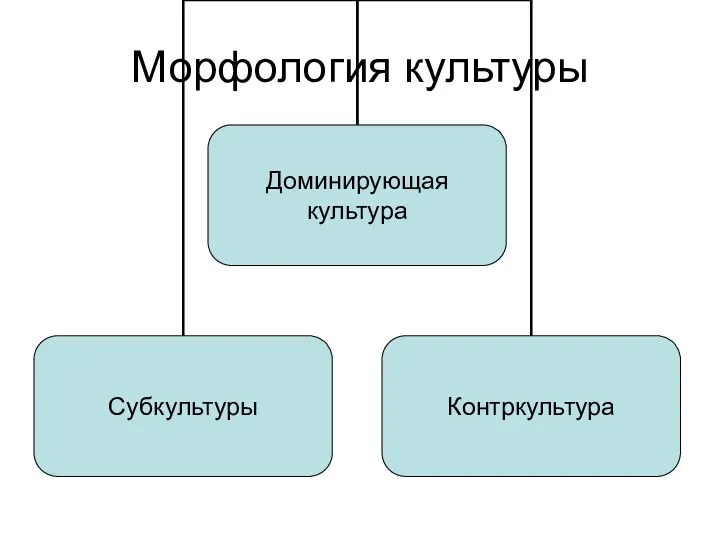 Морфология культуры