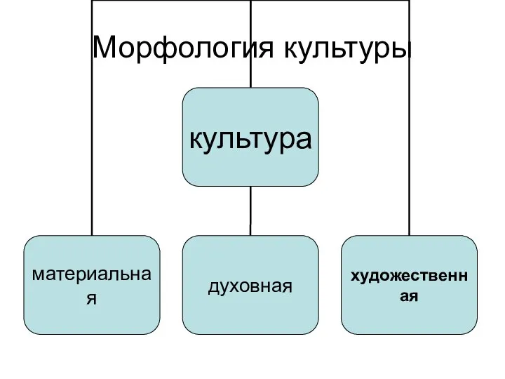 Морфология культуры