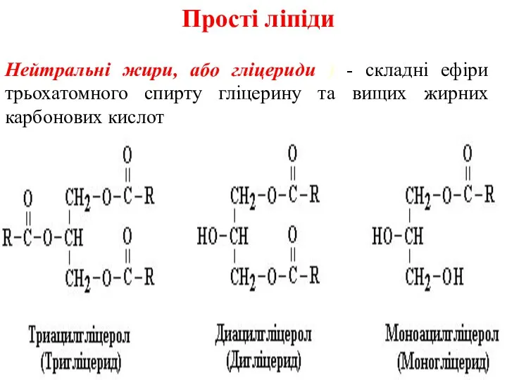 Прості ліпіди Нейтральні жири, або гліцериди ) - складні ефіри трьохатомного