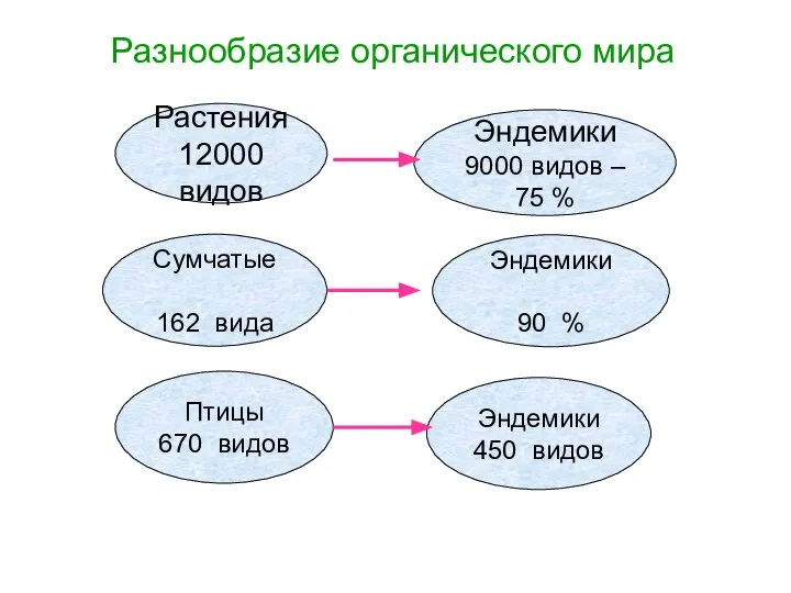 Разнообразие органического мира Эндемики 450 видов Растения 12000 видов Эндемики 9000