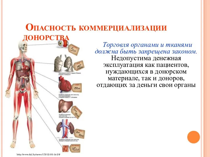 Опасность коммерциализации донорства Торговля органами и тканями должна быть запрещена законом.