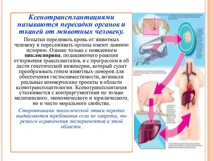 Ксенотрансплантациями называются пересадки органов и тканей от животных человеку. Попытки переливать