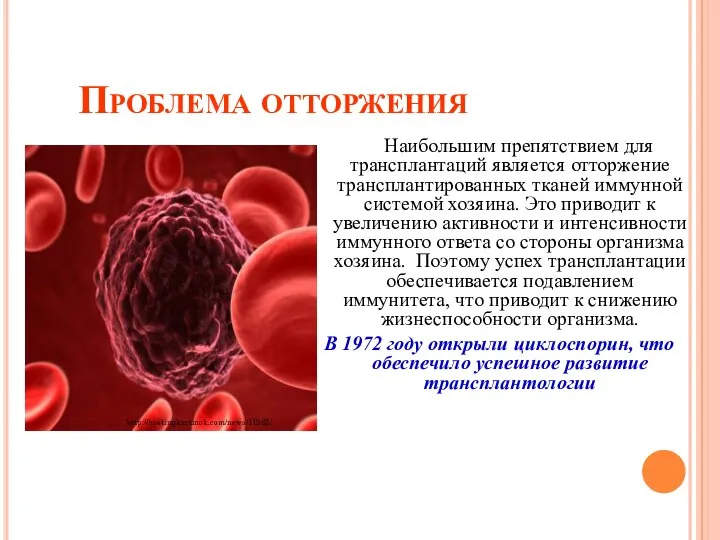 Проблема отторжения Наибольшим препятствием для трансплантаций является отторжение трансплантированных тканей иммунной