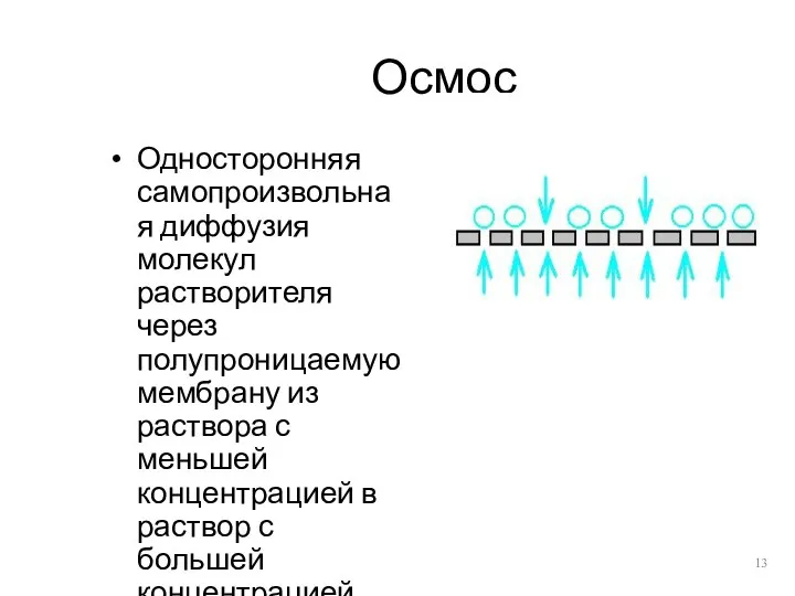 Осмос Односторонняя самопроизвольная диффузия молекул растворителя через полупроницаемую мембрану из раствора