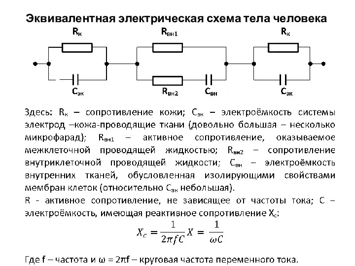 Эквивалентная электрическая схема тела человека