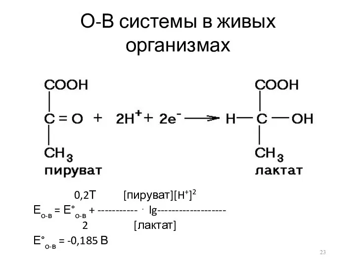 О-В системы в живых организмах 0,2Т [пируват][H+]2 Ео-в = Е°о-в +