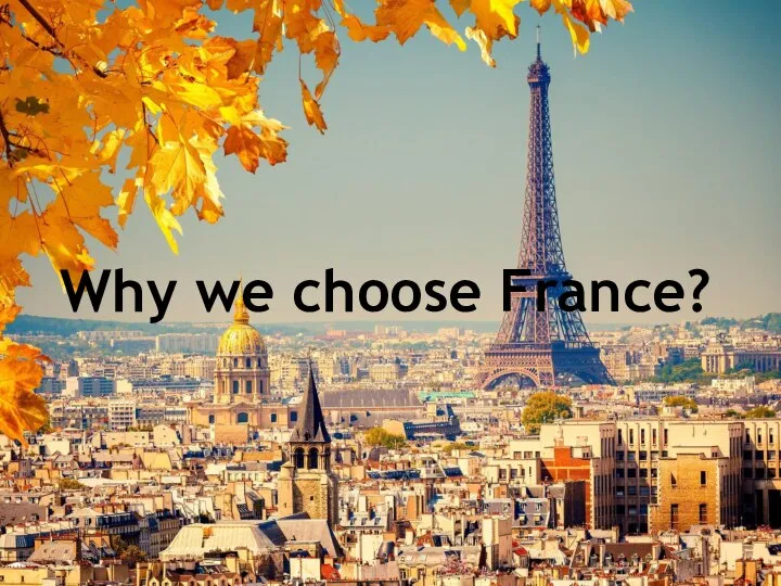 Why we choose France?