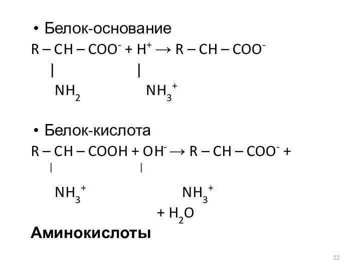 Белок-основание R – CH – COO- + H+ → R –