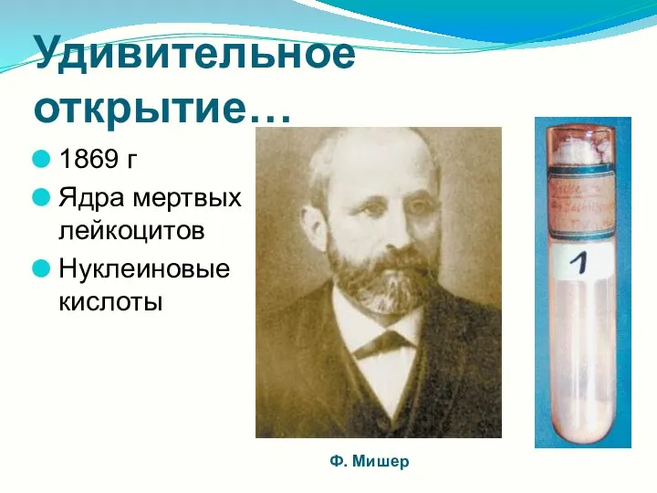Удивительное открытие… 1869 г Ядра мертвых лейкоцитов Нуклеиновые кислоты Ф. Мишер