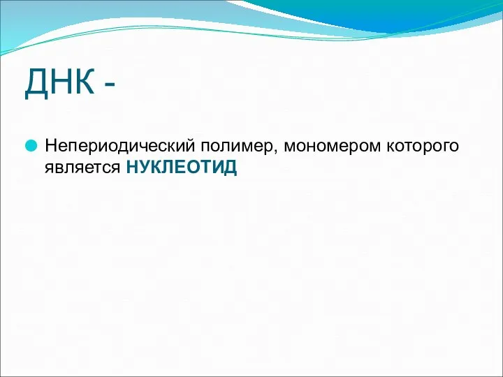 ДНК - Непериодический полимер, мономером которого является НУКЛЕОТИД