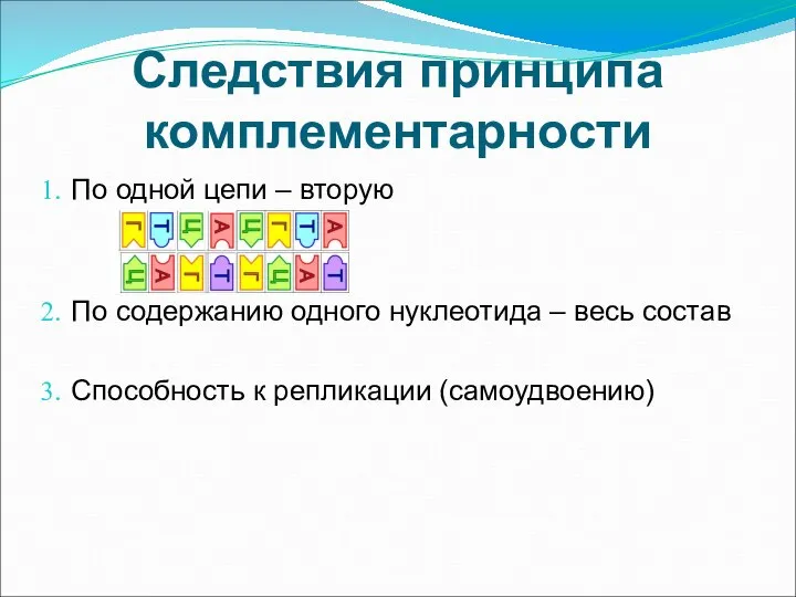 Следствия принципа комплементарности По одной цепи – вторую По содержанию одного