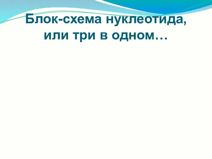 Блок-схема нуклеотида, или три в одном…