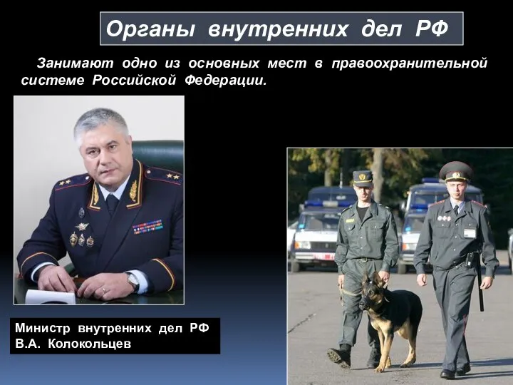 Органы внутренних дел РФ Занимают одно из основных мест в правоохранительной