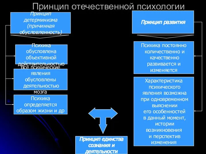 Принцип отечественной психологии Принцип детерминизма (причинная обусловленность) Психика обусловлена объективной действительностью