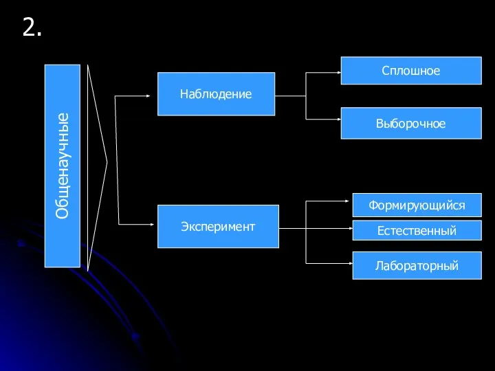 2. Общенаучные Наблюдение Эксперимент Сплошное Выборочное Формирующийся Естественный Лабораторный