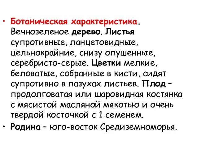 Ботаническая характеристика. Вечнозеленое дерево. Листья супротивные, ланцетовидные, цельнокрайние, снизу опушенные, серебристо-серые.