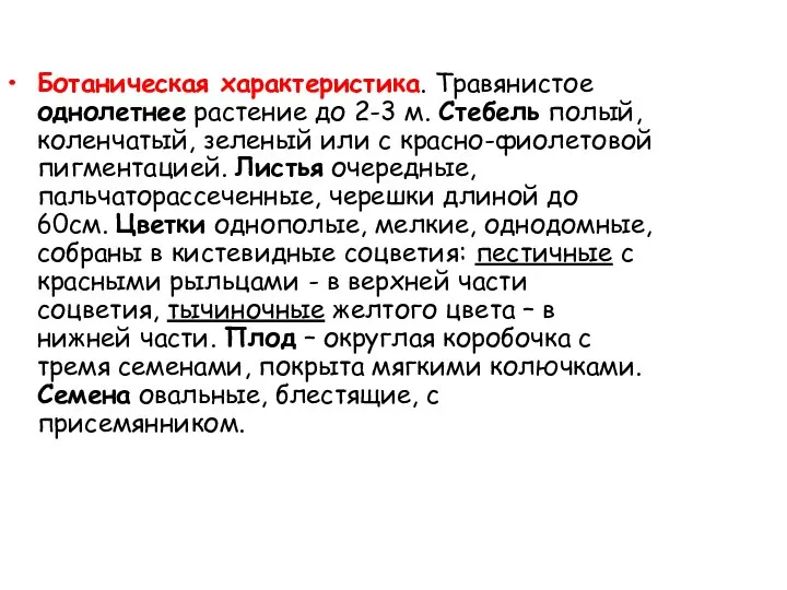 Ботаническая характеристика. Травянистое однолетнее растение до 2-3 м. Стебель полый, коленчатый,